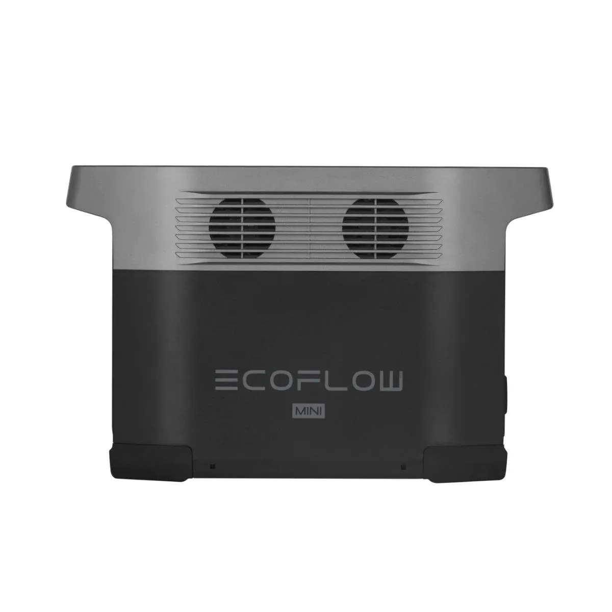 EcoFlow DELTA mini   160W Solar Panel