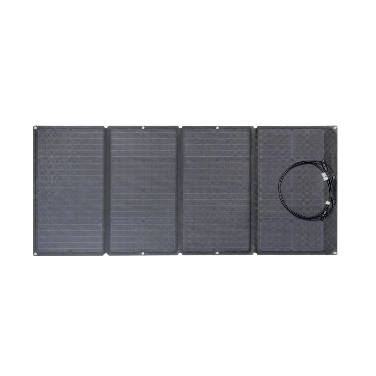 EcoFlow RIVER Pro   1X 160W Solar Panel